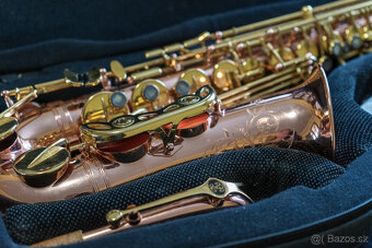 Alt saxofon Buffet Crampon Senzo - 13