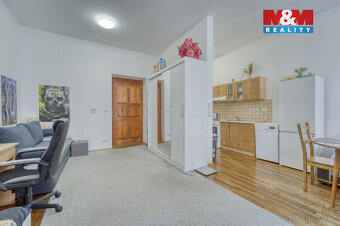 Prodej nájemního domu, 400 m², Plzeň, ul. Purkyňova - 13