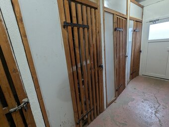 Pronájem bytu, 2+kk, 36 m2, Žirovnice - 13