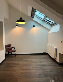 Pronájem bytu 3+kk 115 m² Revoluční, Praha - 13