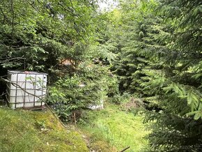 Prodej chalupy -  Podhora u Pěnčína - 13