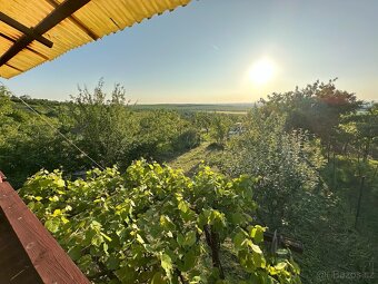 Strážnice - Pozemek s chatou a vinicí, krásné výhledy - 13