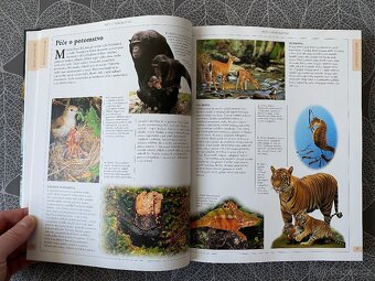 Nová kniha Svět zvířat - encyklopedie - 13
