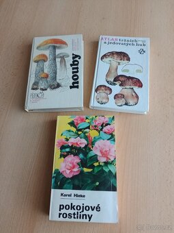 Alpínky,Růže,Atlas hub - 13