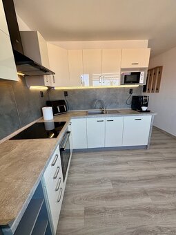 Pronájem nadstandartně vybaveného bytu 1+1 Jirkov - 13