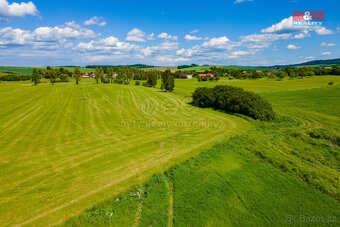 Prodej louky, 2373 m², Blížejov - 13