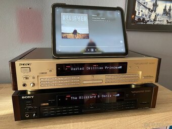 Sony DAR-1000ES - verze 2.1 CHAMPAGNE/BLACK - 13