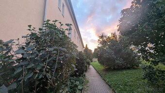 Pronájem bytu 2+1 po rekonstrukci nedaleko centra města - 13