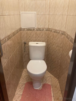 Pronájem bytu 1+KK - 13