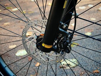 E-bike Diamant Zouma Deluxe+ - 13