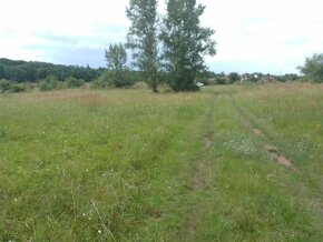 Pozemek u jezera Pístník, přes 1,8 ha, blízko dálnice D8... - 13