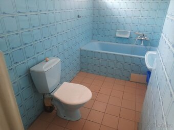 Pronájem bytu 3+1 v rodinném domě, Skalice u F-M - 13