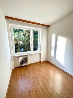 Pronájem bytu 3+kk - 13