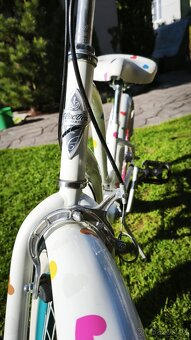 DĚTKÉ DÍVČÍ KOLO 20" S JEDINEČNÝM DESIGNEM ELECTRA - 13
