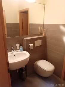 Pronájem komerčních prostor - 13