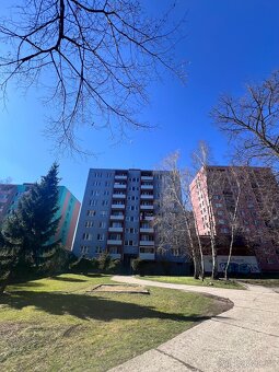 Pronájem, byt 0+1,28 m2, ul. U parku, Moravská Ostrava - 13