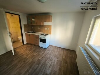 Pronájem bytu 1+kk, 19m2, Teplická, Děčín - 13
