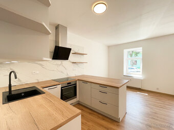 Pronájem 1+kk, 36,8 m², zahrádka 50 m², parkovací stání, Olo - 13