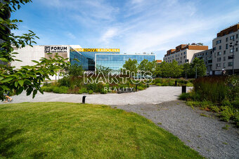 Pronájem obchodního prostoru 378m2 v budově Organica, Moravs - 13