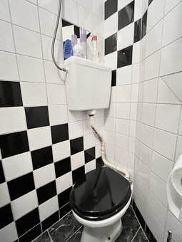 Nebytový prostor 98m2 v centru Brna, na náměstí Svobody - 13