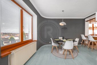 PRODEJ RODINNÉHO DOMU 6+1 SE ZAHRADOU, JABLOŇOVÁ, PROTIVÍN - 13