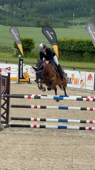 Prodej či výměna sportovní kobyly - 13