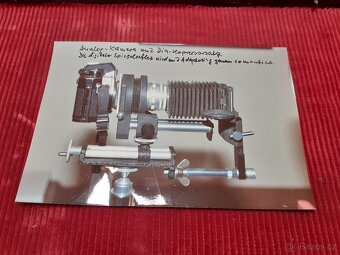 Makro sada v kufriku - 13