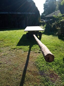 Prodám koňský povoz po renovaci - 13