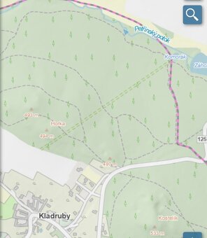 Lesní pozemky Kladruby u Vlašimi - 13