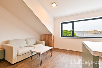 Pronájem bytu 1+kk, Škrochova, Židenice, 15 900 Kč/měs, 33 m - 13