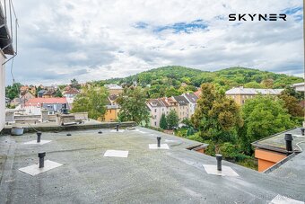 Prodej jedinečného podkrovního bytu s loftovým charakterem n - 13