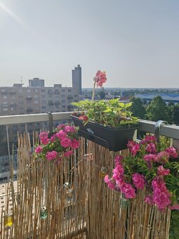 PRODEJ BYTU 4+kk poblíž centra Brna (přímý prodejce) - 13