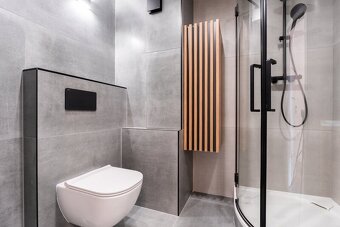 Pronájem bytu 2+kk v osobním vlastnictví 40 m², Bílina - 13