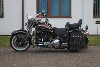 Harley-Davidson 1998 FLSTS Heritage Springer 95thAnniversary - 13