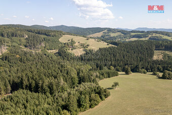 Prodej lesa, 8743 m², Valašská Senice - 13