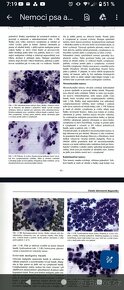 VŠ Skripta v PDF formátu - ČZU, Veterina, Ekonomie - 13