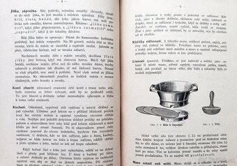 Rakousko Uhersko - kuchařská kniha z roku 1914 - 13