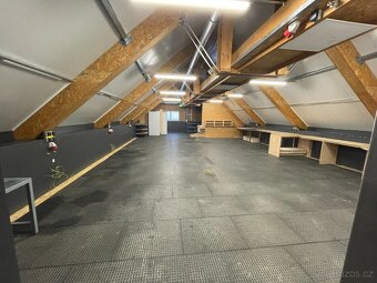 Pronájem komerční nemovitosti - 13