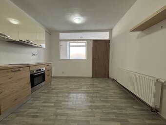 Pronájem bytu 1+1 41m², České Budějovice - 13