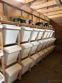 Nabízíme pastevní a boxové ustájení - 13