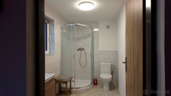 Pronájem domu Třebsín - 13