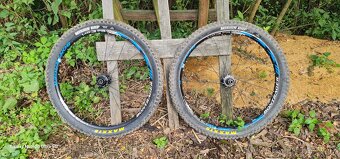 Dily z kola Trek Session 8.8 2010. - 13