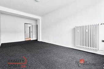 Prodej, byty/2+1, 51 m2, Pohraniční stráže 380, 35801 Krasli - 13