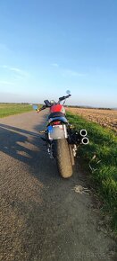 Harley Davidson  XR 1200 - 13