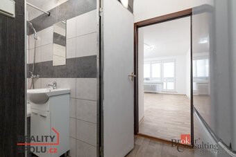 Pronájem, byty/1+kk, 27 m2, Výškovická 428/159, Výškovice, 7 - 13