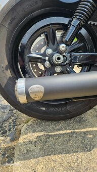 Sportster 48 Harley davidson 1200 - 13