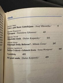 Mix novel - 13