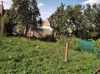 Prodej vinného sklepa - 13