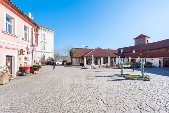 Pronájem bytu 1+kk, 47 m2 - Praha - Malá Strana - 13