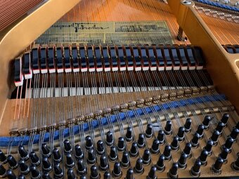 Klavír - křídlo August Förster - 13